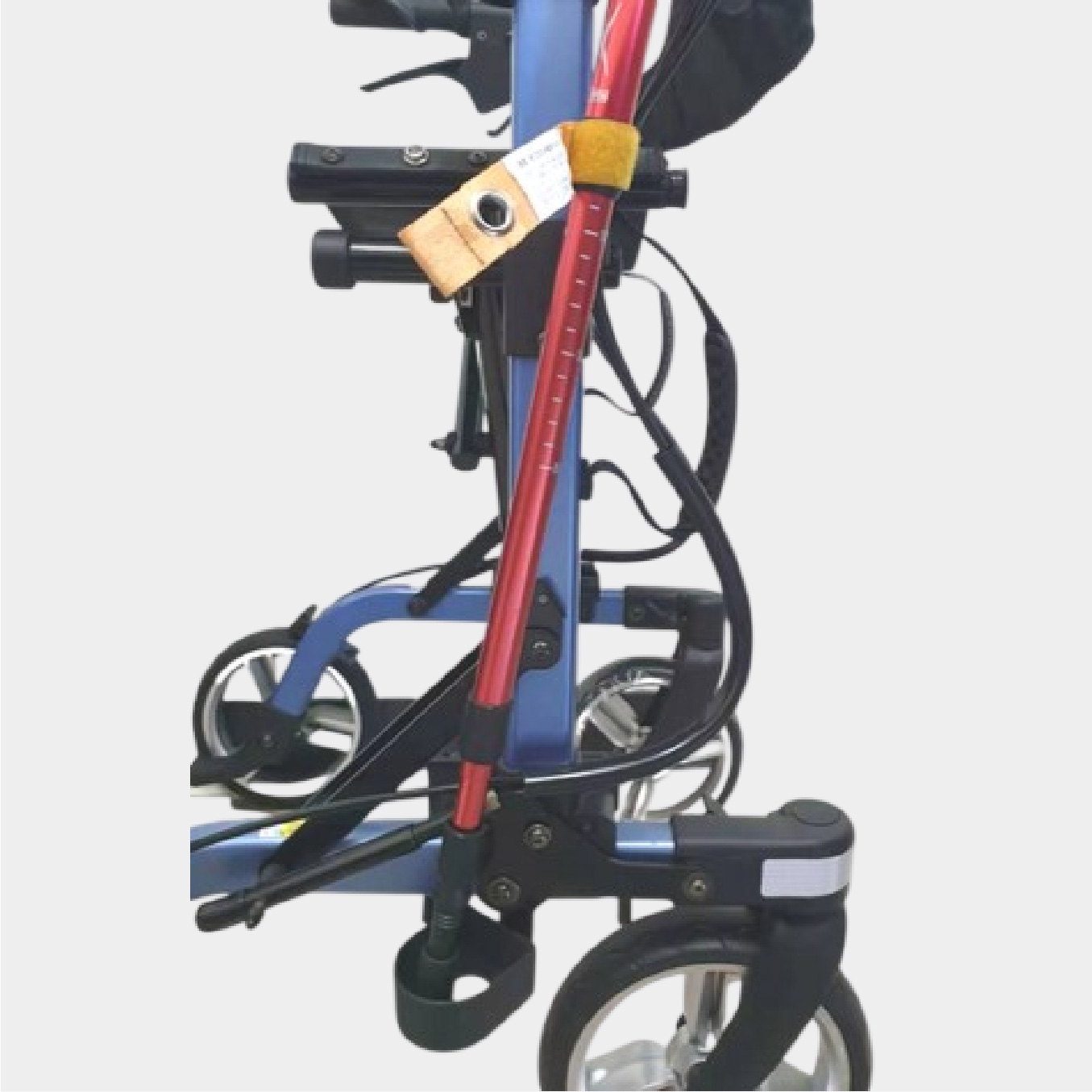 Cane umbrella holder