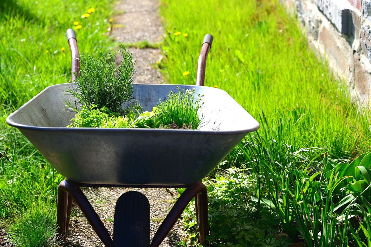 Power Wheelbarrows